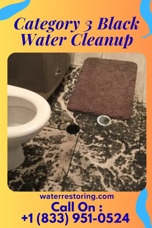 Category 3 Black Water Cleanup in Montgomery, IN